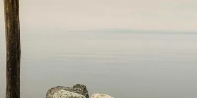 Verdant